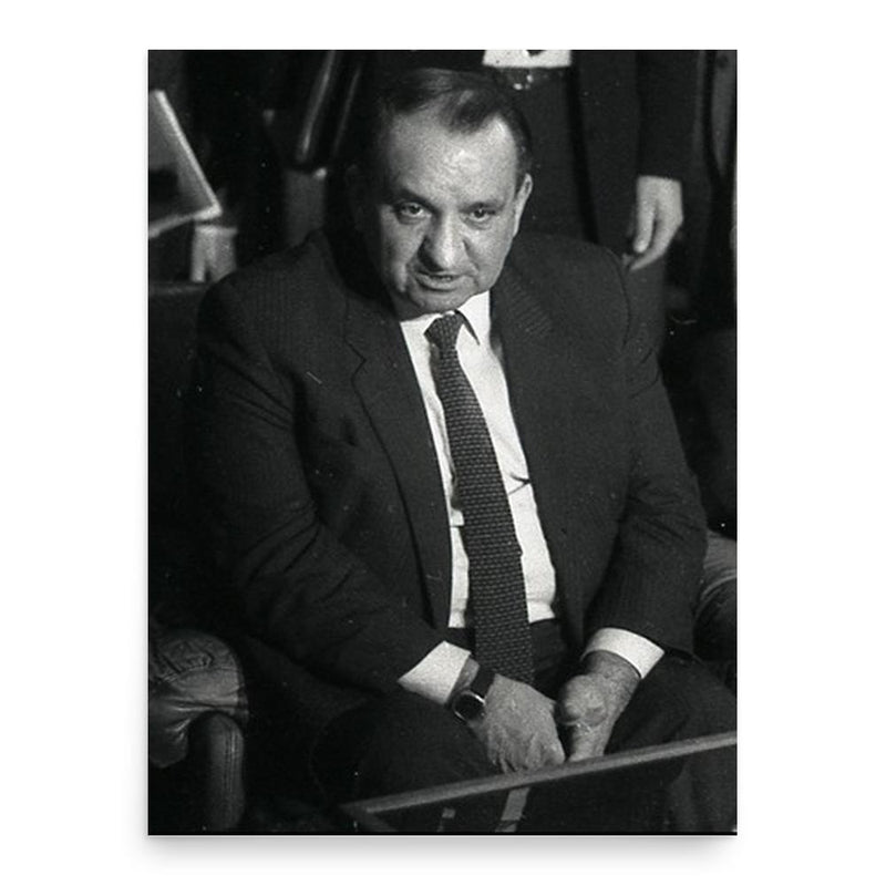 Fred Sinowatz poster print, in size 18x24 inches.