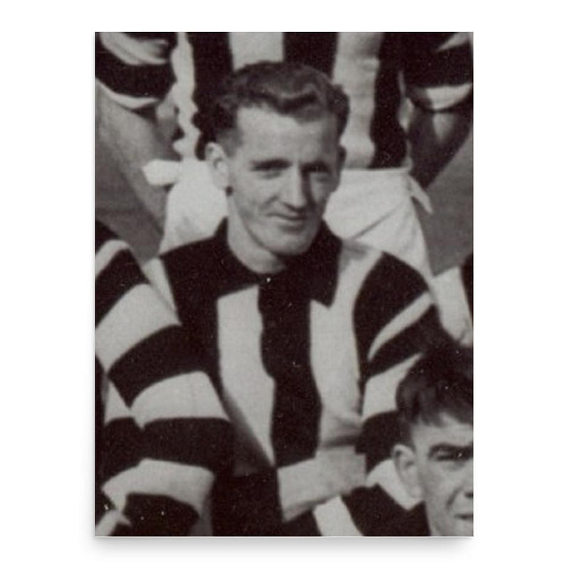 Fred Stabb poster print, in size 18x24 inches.