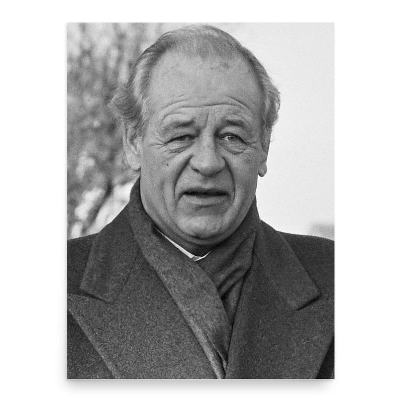 Freddy Heineken poster print, in size 18x24 inches.
