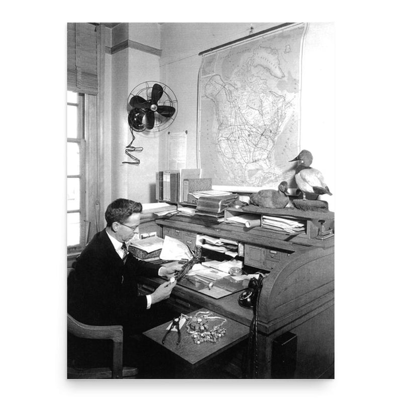 Frederick Charles Lincoln poster print, in size 18x24 inches.