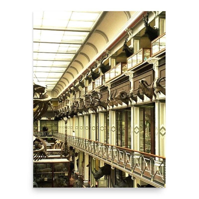 Frederick Clarendon poster print, in size 18x24 inches.