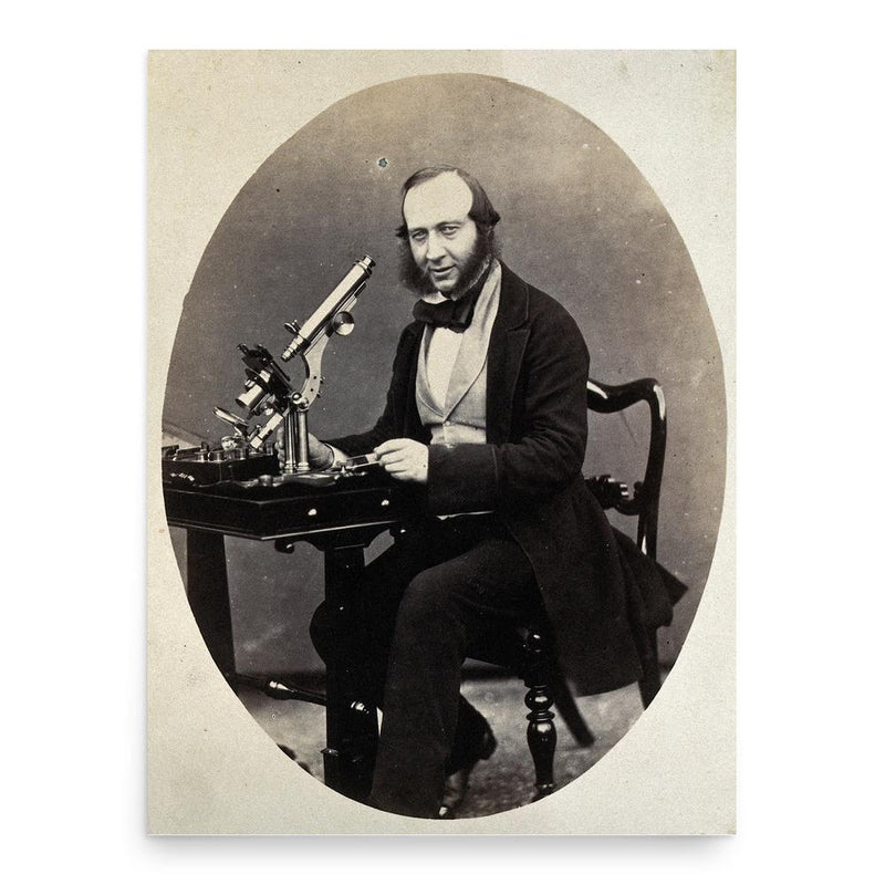 George Shadbolt poster print, in size 18x24 inches.