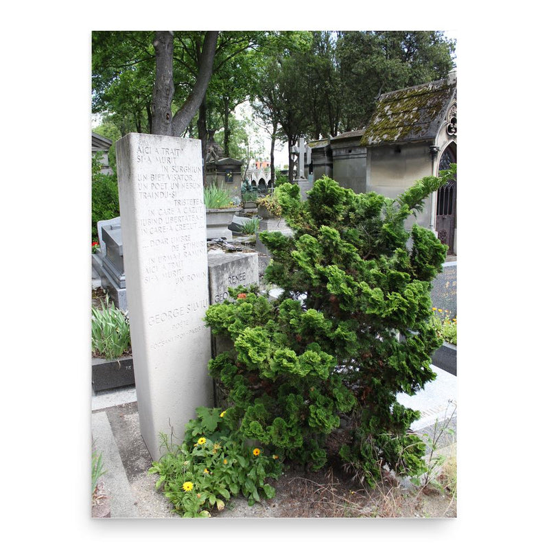 George Silviu poster print, in size 18x24 inches.