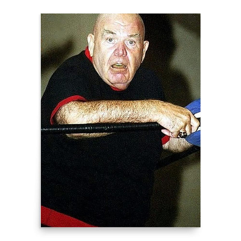 George Steele poster print, in size 18x24 inches.