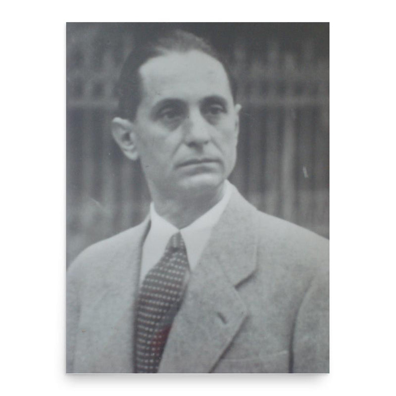 George Tsimbidaros-Fteris poster print, in size 18x24 inches.