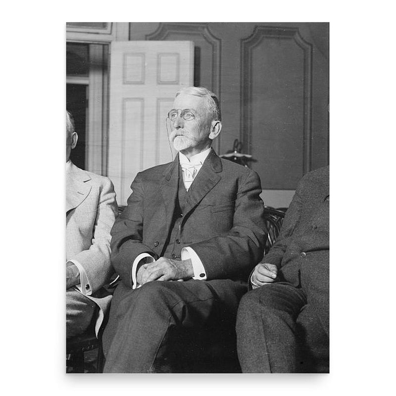 George Wallace William Hanger poster print, in size 18x24 inches.