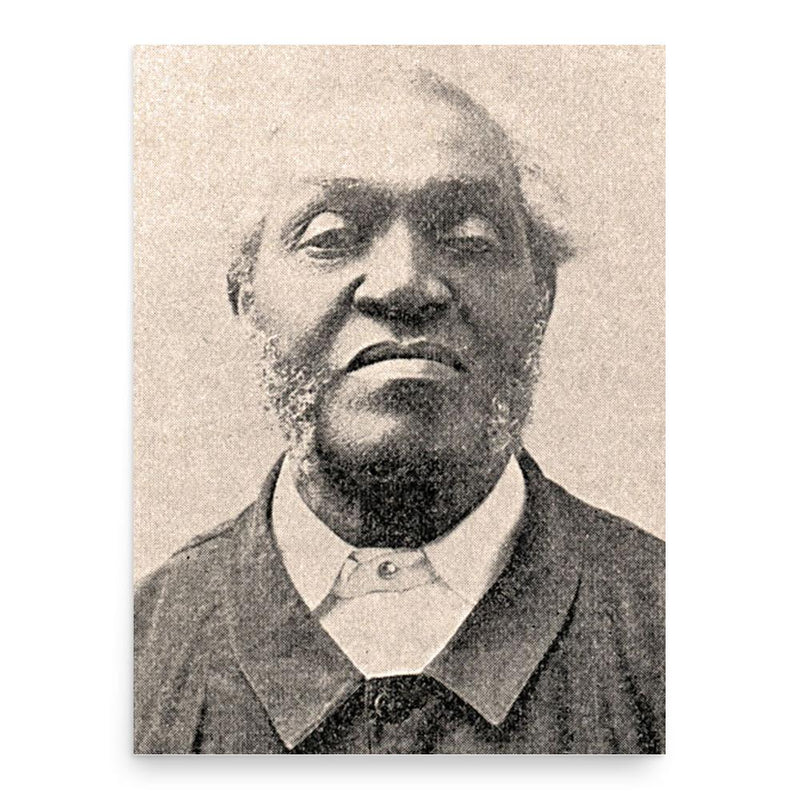 George Washington Dupee poster print, in size 18x24 inches.