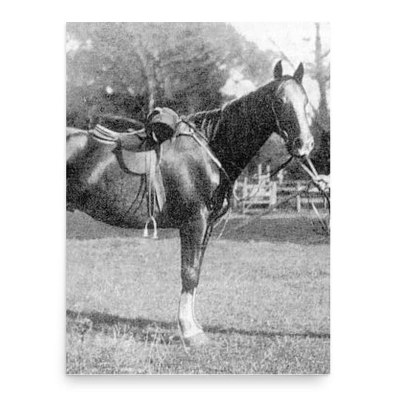 George Witton poster print, in size 18x24 inches.