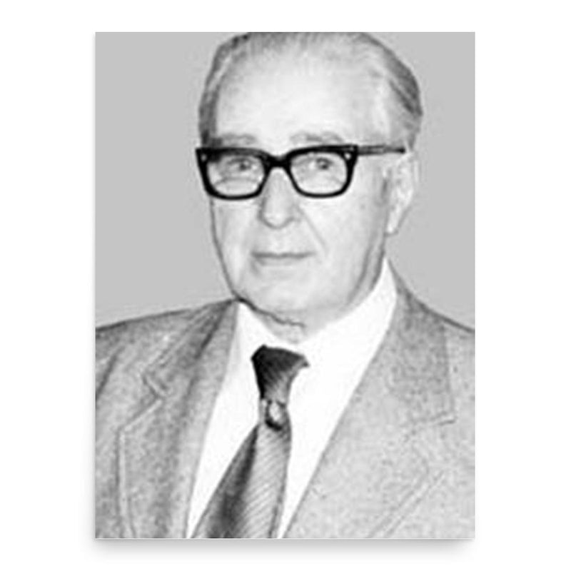 Georges Gurvitch poster print, in size 18x24 inches.