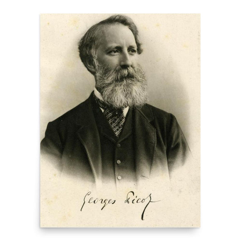 Georges Picot poster print, in size 18x24 inches.