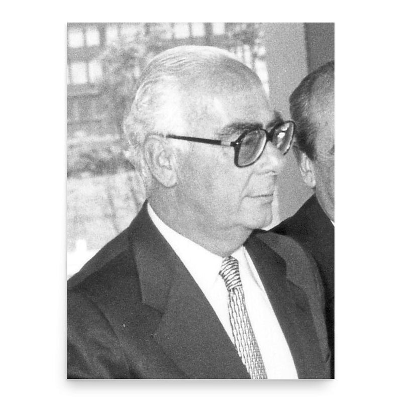 Georgios Rallis poster print, in size 18x24 inches.