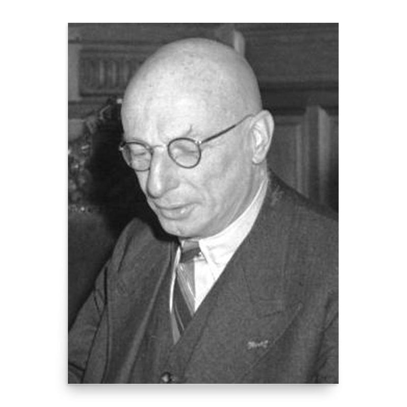 Gerard van der Leeuw poster print, in size 18x24 inches.