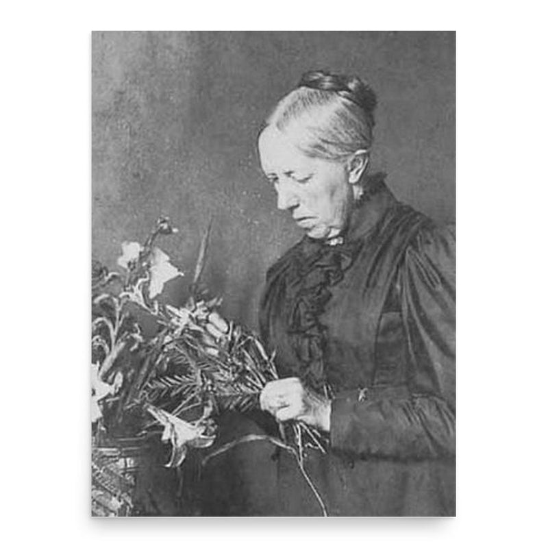 Gerardina Jacoba van de Sande Bakhuyzen poster print, in size 18x24 inches.