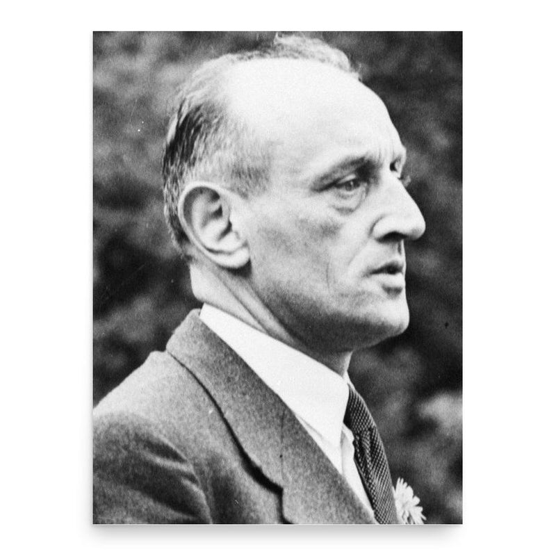 Gerrit Jan van Heuven Goedhart poster print, in size 18x24 inches.