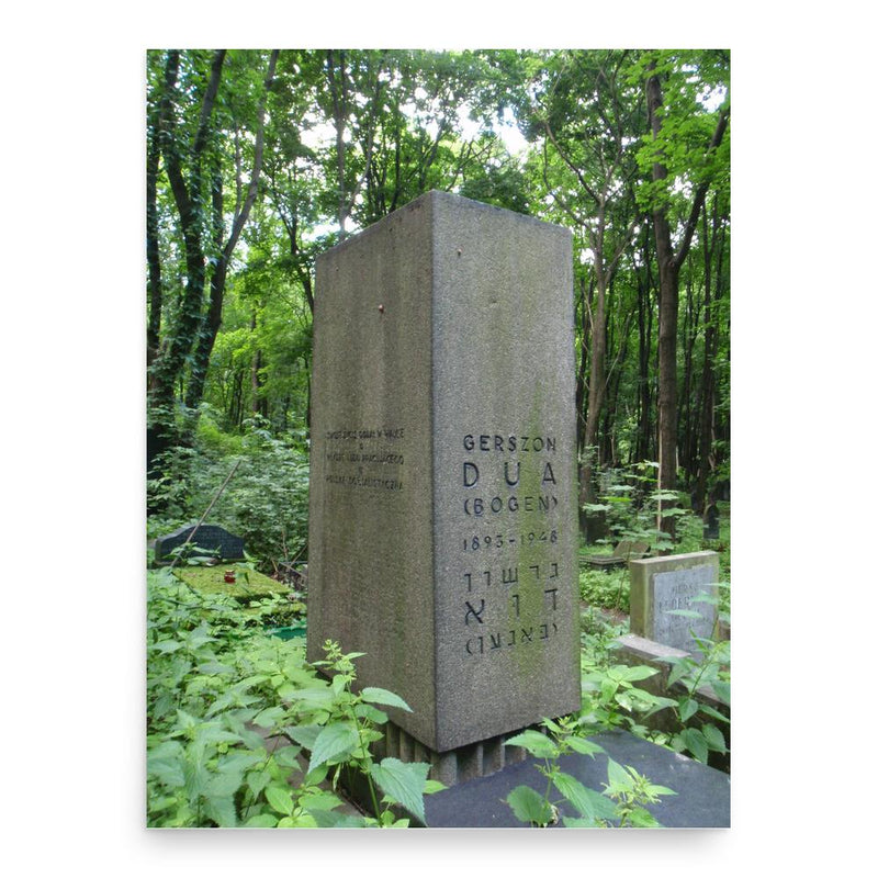 Gershon Dua-Bogen poster print, in size 18x24 inches.