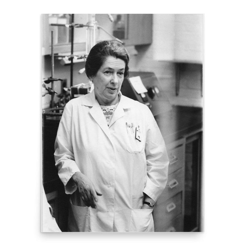 Gertrude Perlmann poster print, in size 18x24 inches.