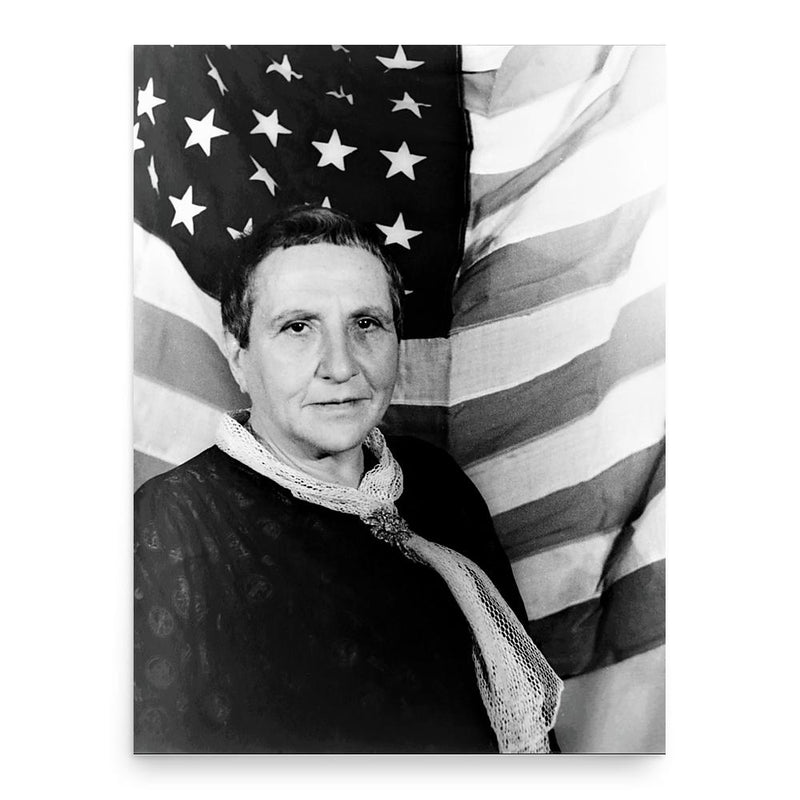 Gertrude Stein poster print, in size 18x24 inches.