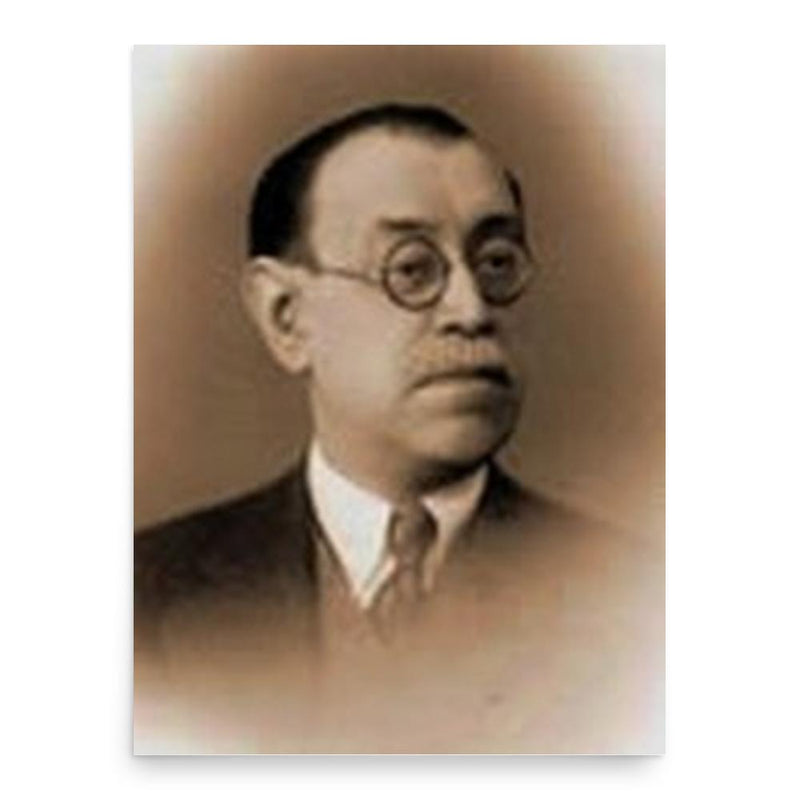 Gheorghe Adamescu poster print, in size 18x24 inches.