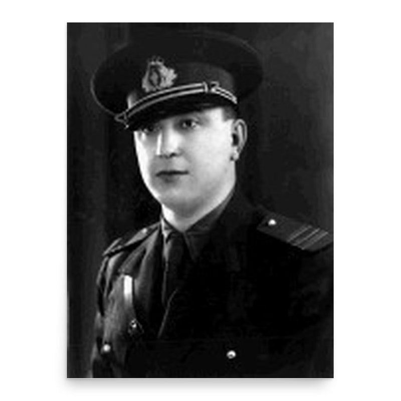 Gheorghe Arsenescu poster print, in size 18x24 inches.