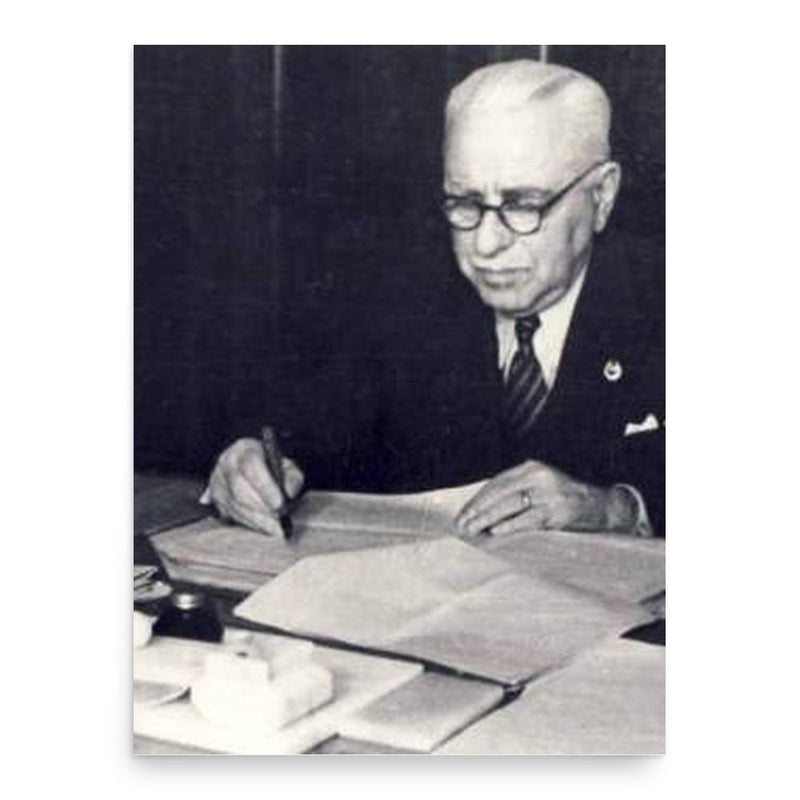 Gheorghe Macovei poster print, in size 18x24 inches.