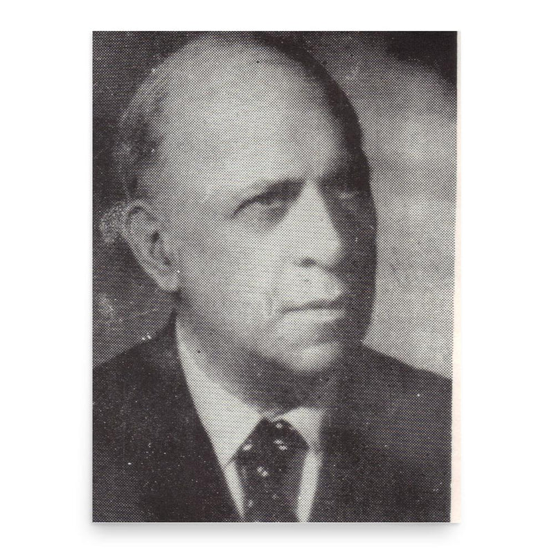 Gheorghe Zane poster print, in size 18x24 inches.