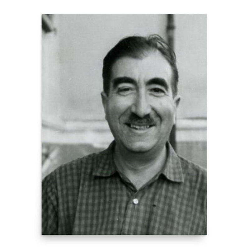 Gianfranco Contini poster print, in size 18x24 inches.