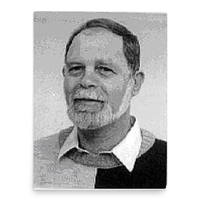 Gideon Toury poster print, in size 18x24 inches.