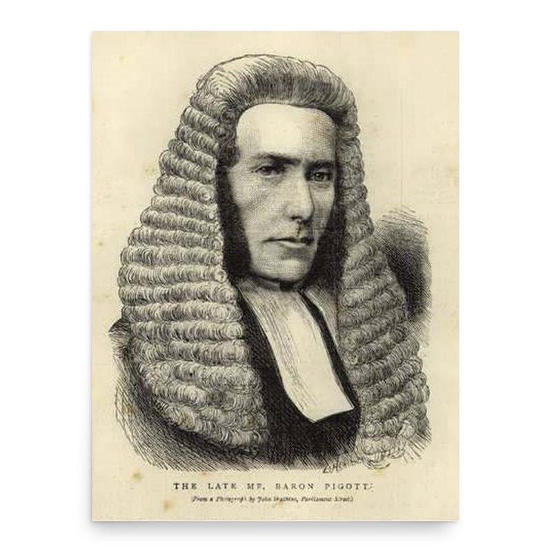 Gillery Pigott poster print, in size 18x24 inches.