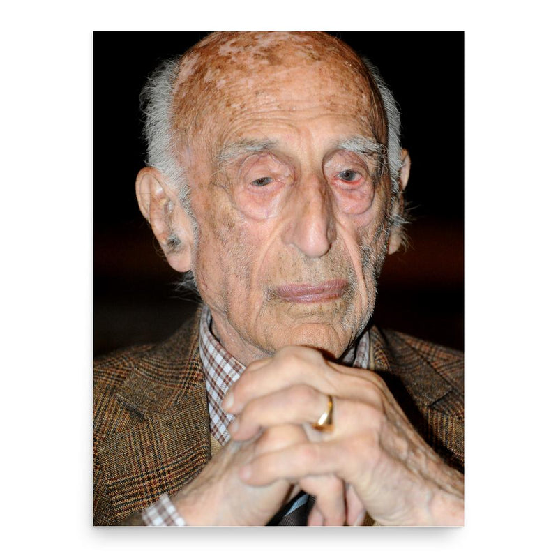 Gillo Dorfles poster print, in size 18x24 inches.