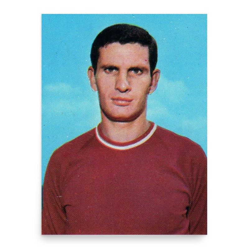 Giorgio Dellagiovanna poster print, in size 18x24 inches.