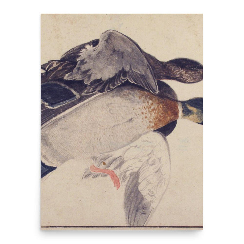 Giorgio Duranti poster print, in size 18x24 inches.