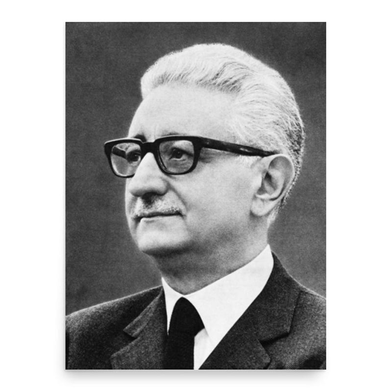 Giovanni Leone poster print, in size 18x24 inches.