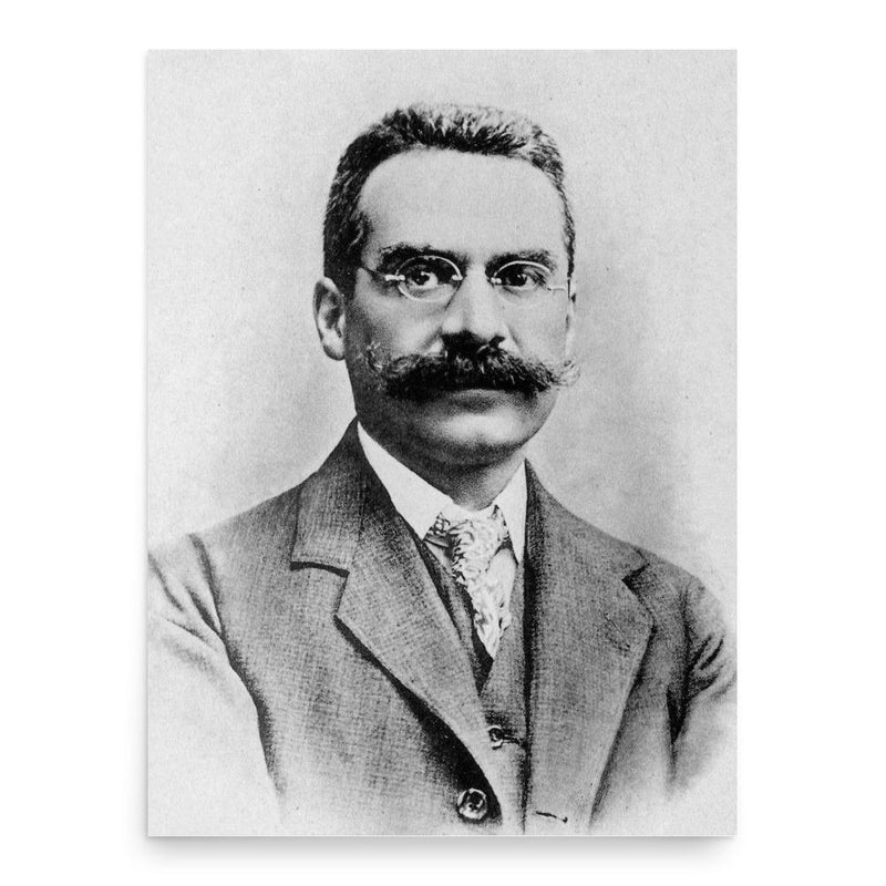 Giulio Ascoli poster print, in size 18x24 inches.