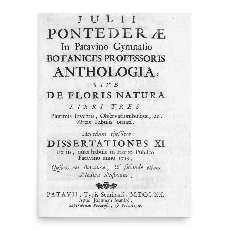 Giulio Pontedera poster print, in size 18x24 inches.