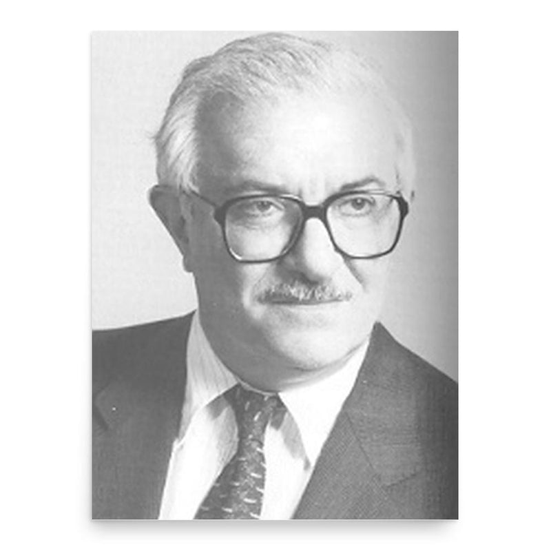 Giuseppe Galasso poster print, in size 18x24 inches.