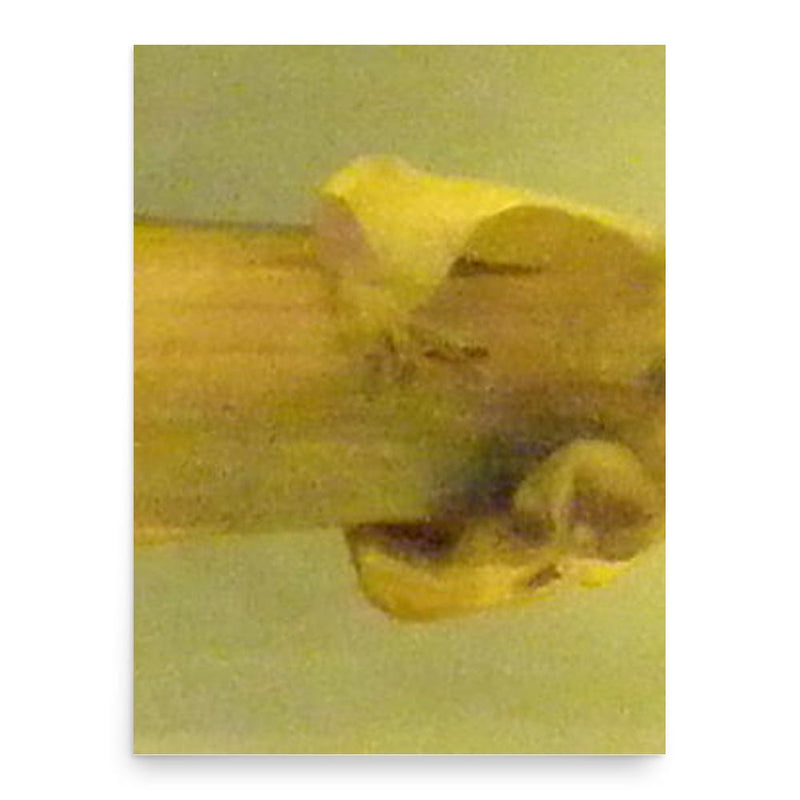 Giuseppe Nascimbeni poster print, in size 18x24 inches.