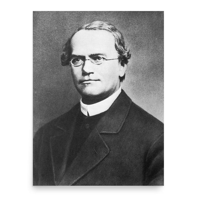 Gregor Mendel poster print, in size 18x24 inches.