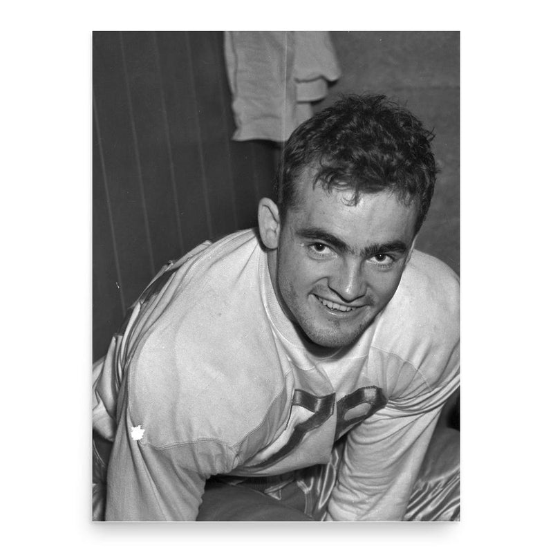 Grenny Lansdell poster print, in size 18x24 inches.