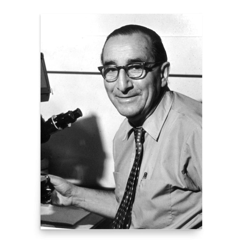 Guido Pontecorvo poster print, in size 18x24 inches.