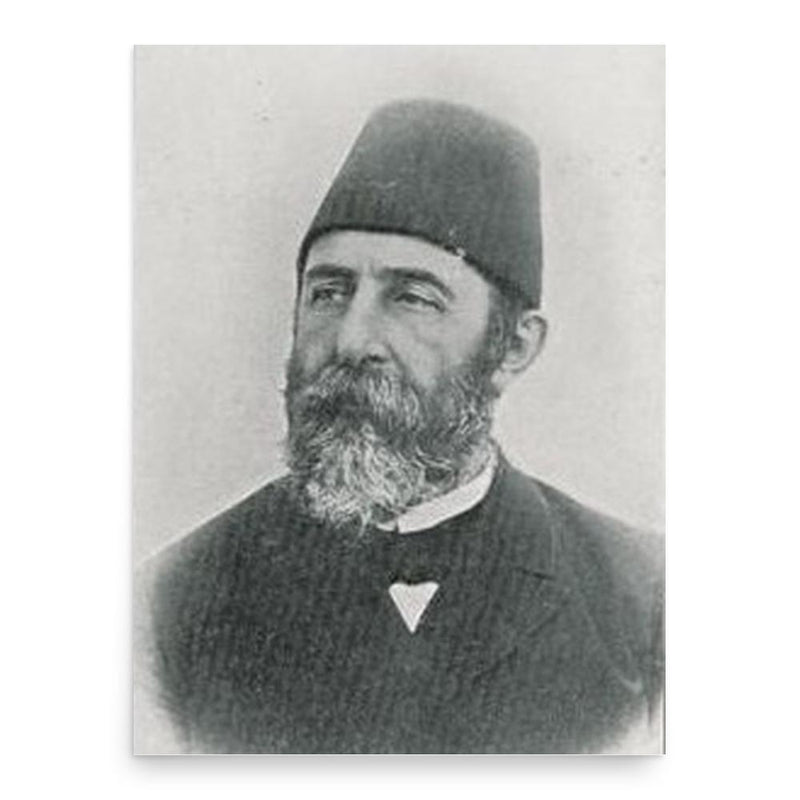 Hasan Fehmi Pasha poster print, in size 18x24 inches.