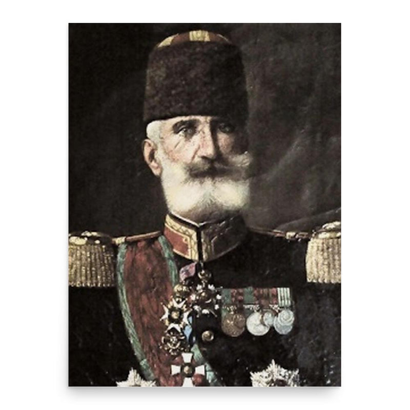 Hasan Tahsin Pasha poster print, in size 18x24 inches.