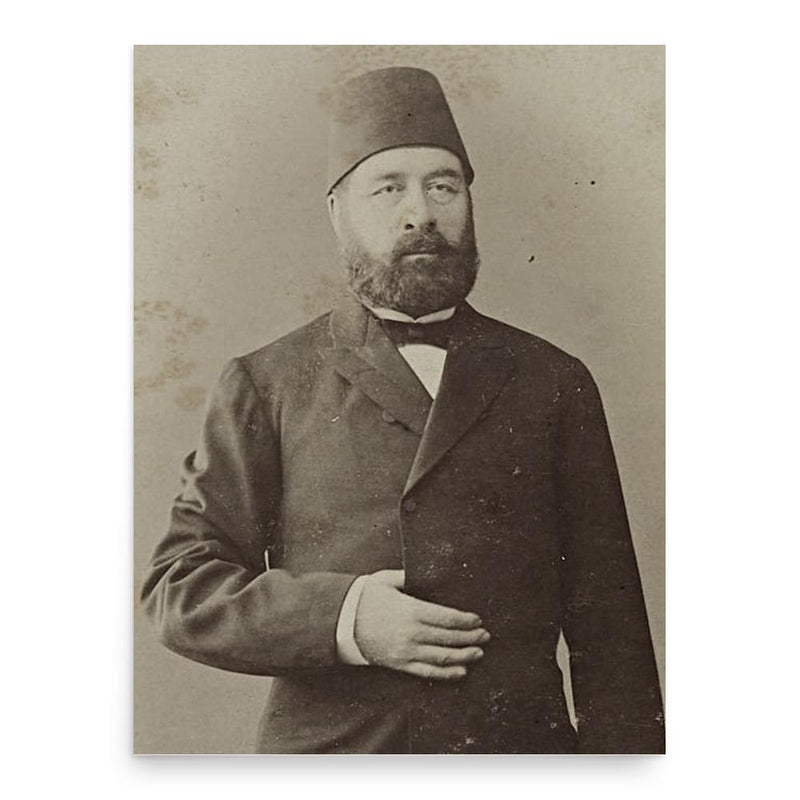 Hayreddin Pasha poster print, in size 18x24 inches.