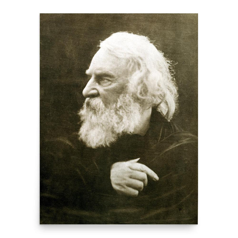 Henry Wadsworth Longfellow poster print, in size 18x24 inches.