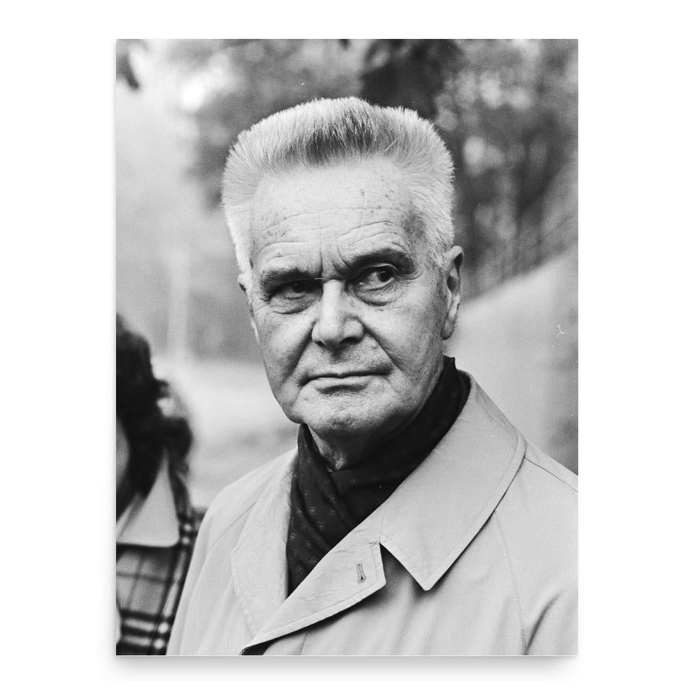 Jan Tinbergen poster print, in size 18x24 inches.