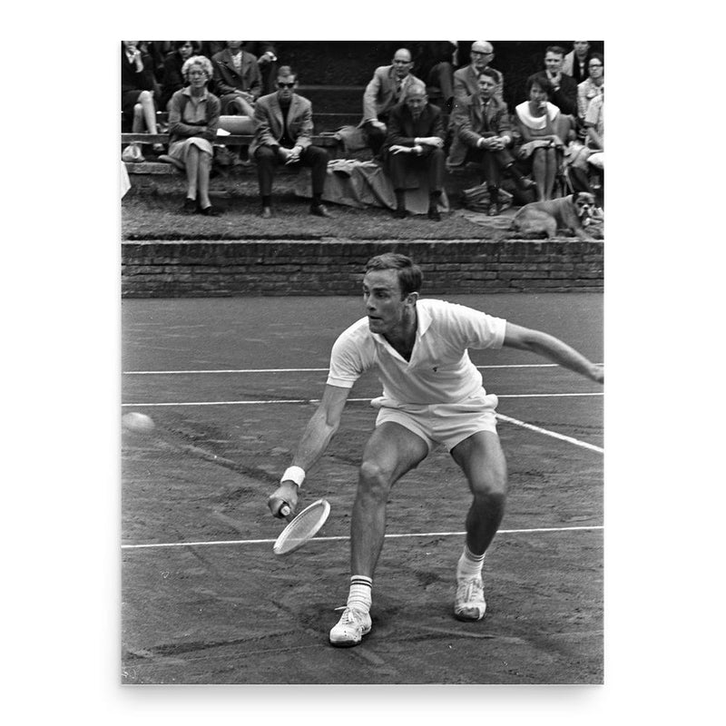 John Newcombe poster print, in size 18x24 inches.