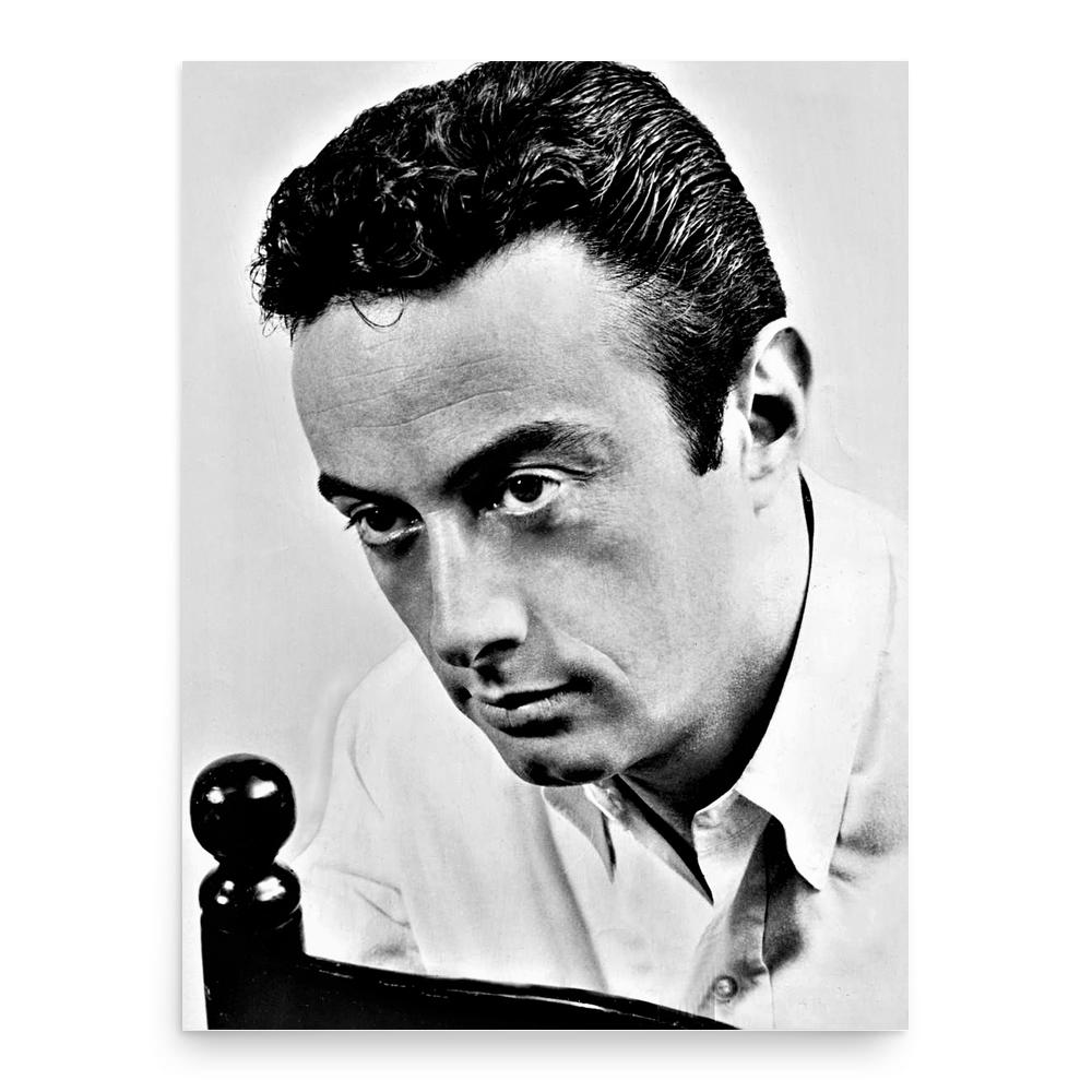 Lenny Bruce poster print, in size 18x24 inches.