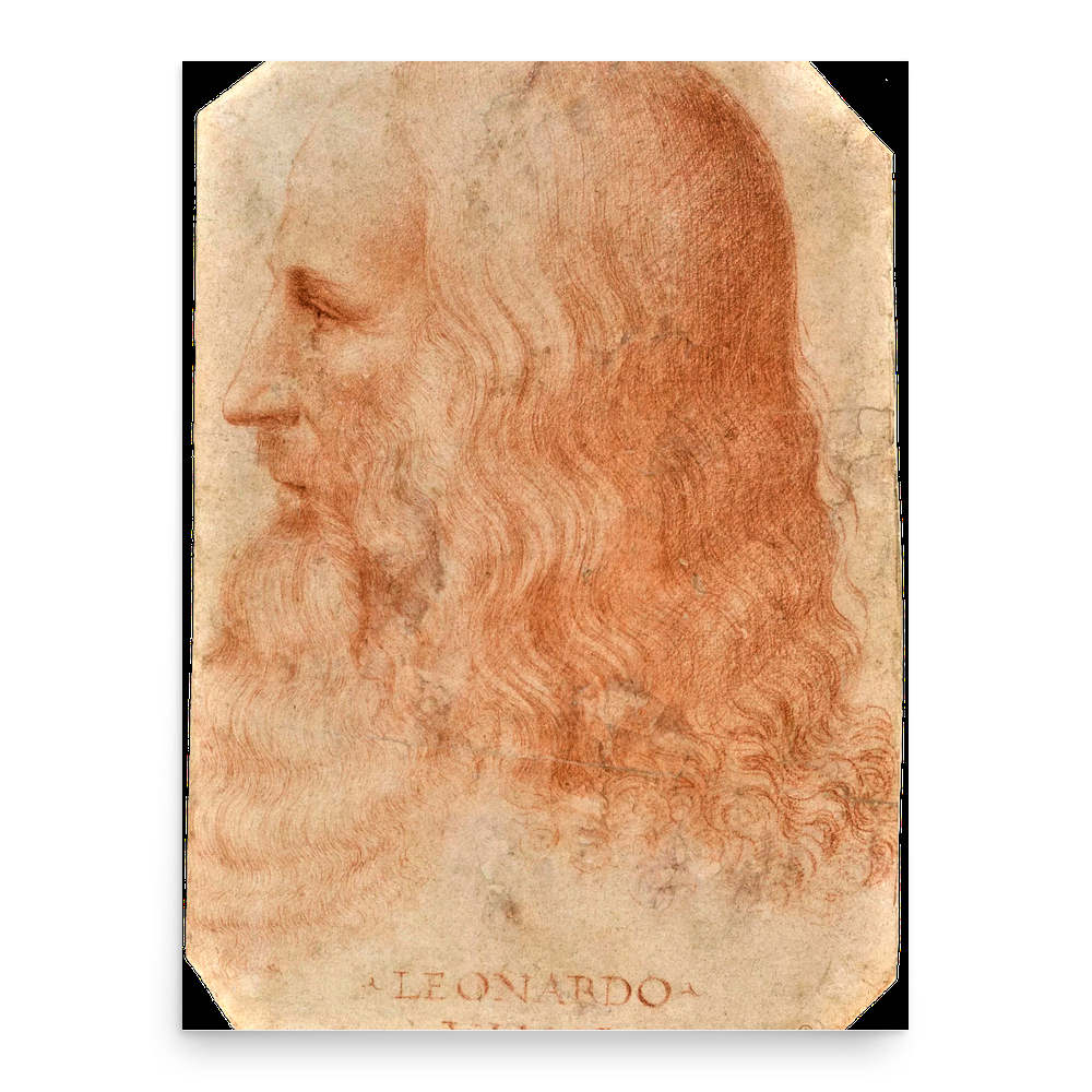 Leonardo da Vinci poster print, in size 18x24 inches.