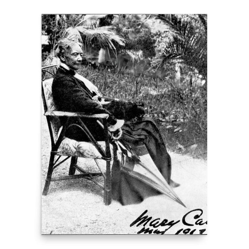 Mary Cassatt poster print, in size 18x24 inches.