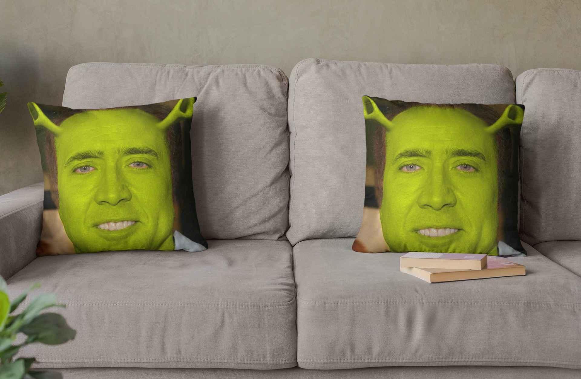 Two Nicolas Cage Shrek pillows positioned at opposite ends of a sofa.