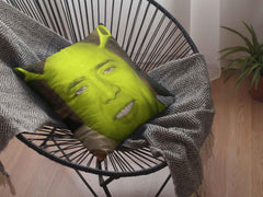 Nicolas Cage Shrek pillow placed on a modern basket-style chair.